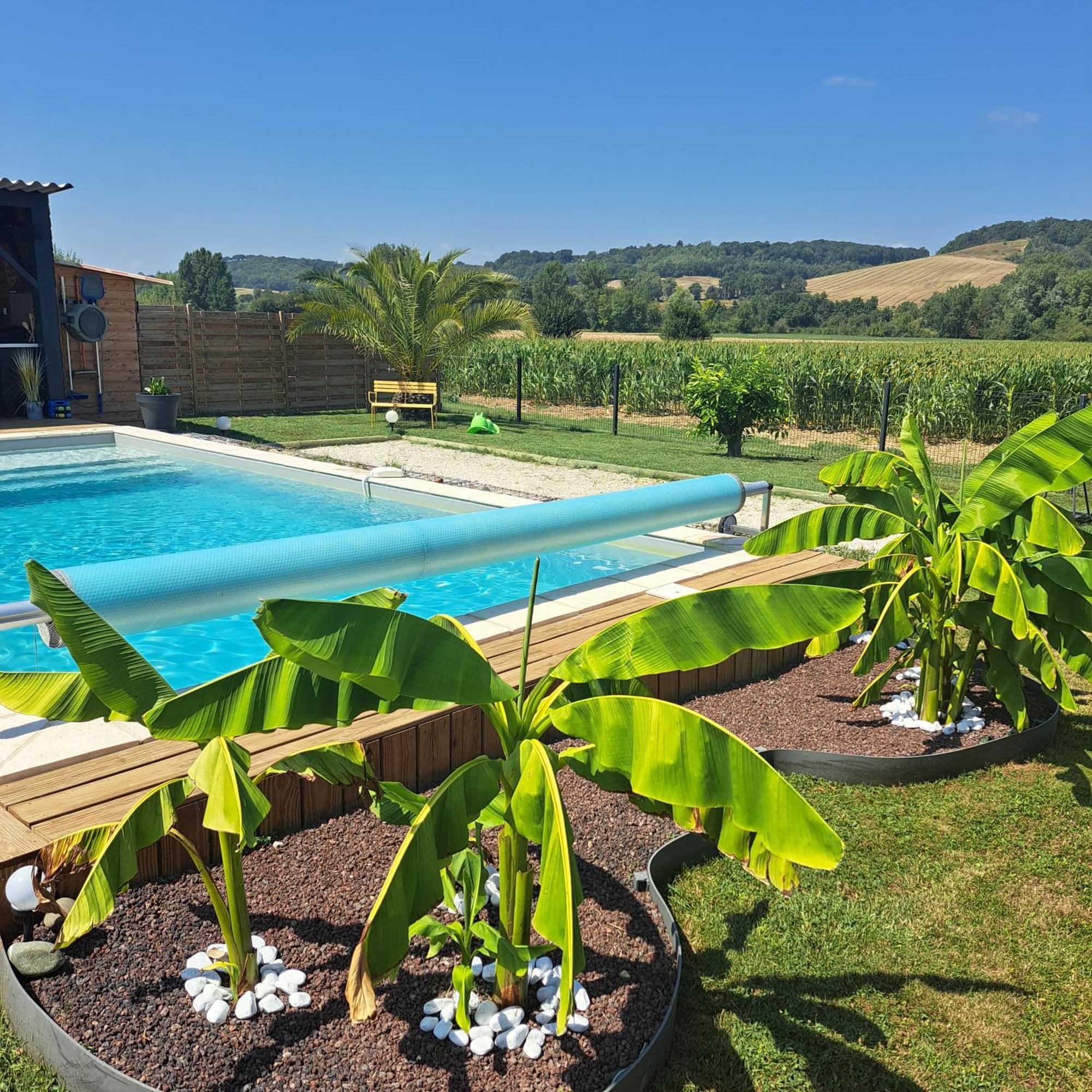 Le Domaine Vesque Βίλα Saint-Pierre-de-Clairac Εξωτερικό φωτογραφία