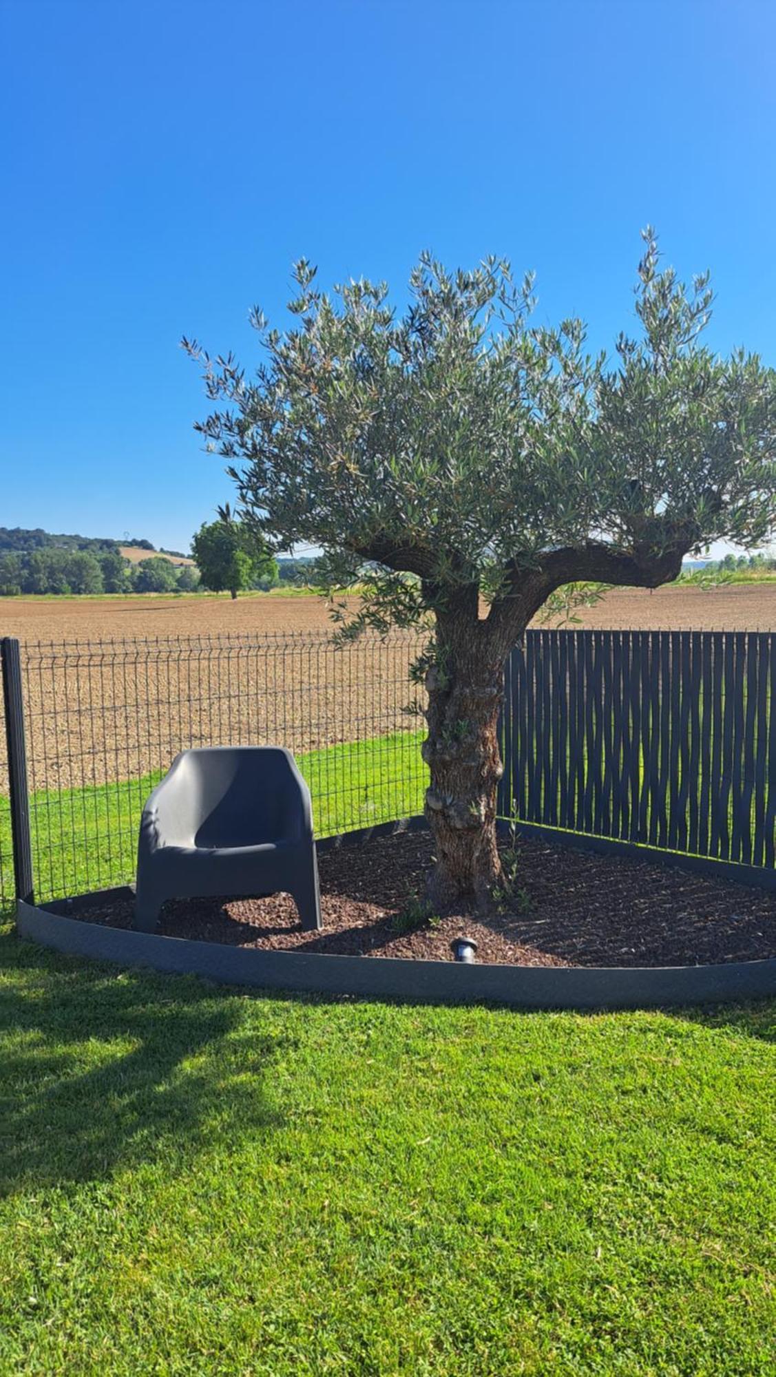 Le Domaine Vesque Βίλα Saint-Pierre-de-Clairac Εξωτερικό φωτογραφία